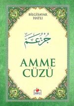 Amme Cüzü Bilgisayar Hatlı