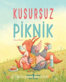 Kusursuz Piknik - Ciara Flood