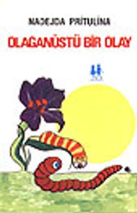 Olağanüstü Bir Olay