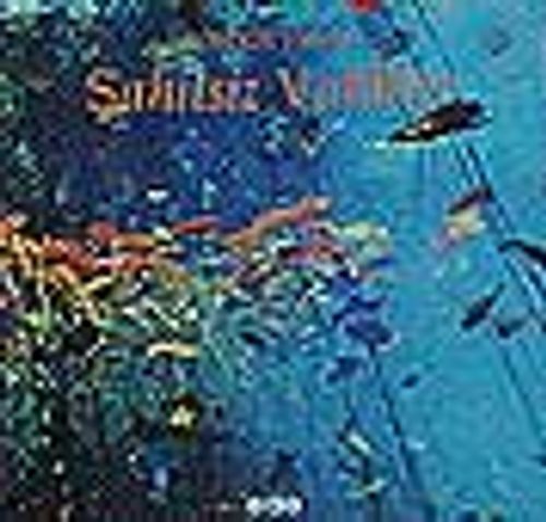 Şahitsiz Vakitler