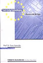 Türk Bilgi Teknolojisi ve Gümrük Birliği