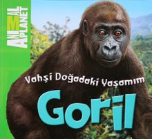 Animal Planet Doğadaki Vahşi Yaşamım Goril
