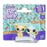Littlest Pet Shop 2'li Mini Miniş - Kami-Pammy (B9389 C3010)</span>
