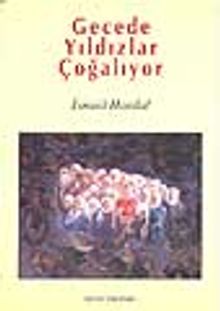 Gecede Yıldızlar Çoğalıyor