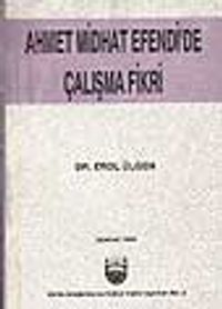 Ahmet Midhat Efendi'de Çalışma Fikri