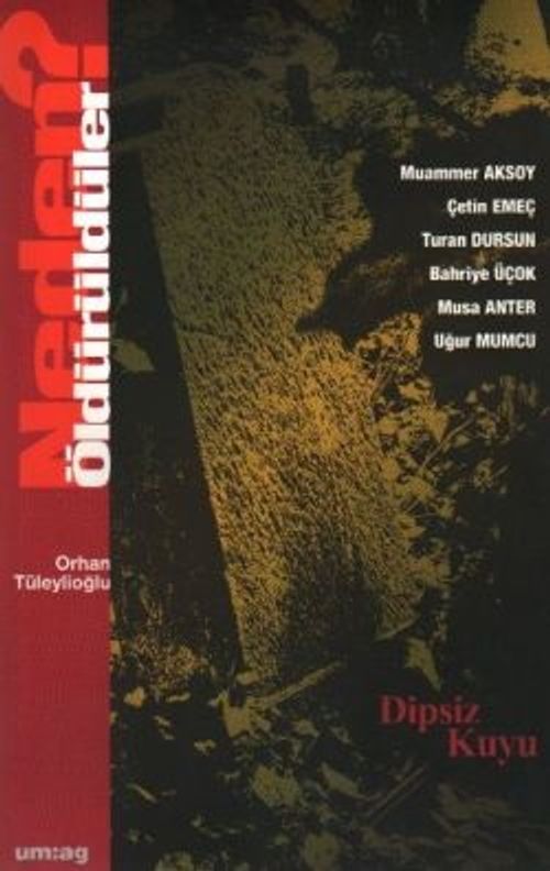 Neden Öldürüldüler? /  Dipsiz Kuyu 3.Kitap