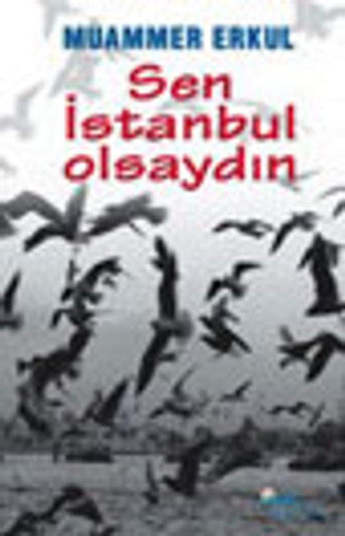 Sen İstanbul Olsaydın