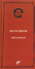 Mecusi Şiirleri