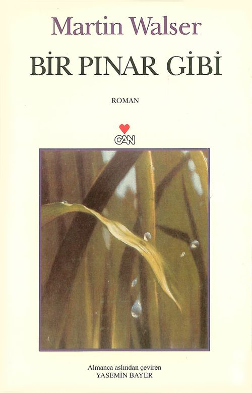Bir Pınar Gibi