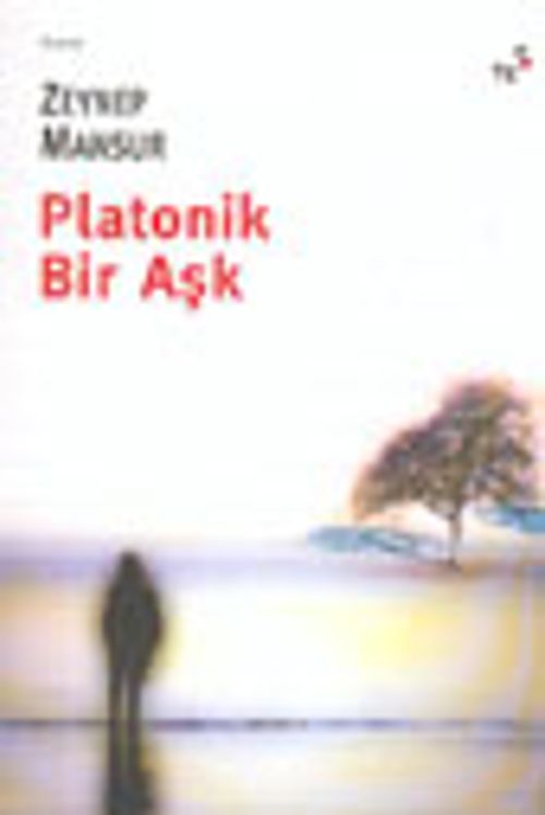 Platonik Bir Aşk