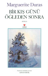 Bir Kış Günü Öğleden Sonra