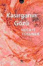 Kasırganın Gözü