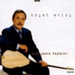 Niye Çattın Kaşlarını-16