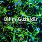 Bilim Güzeldir - Mikroskop Altında İnsan Vücudu