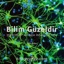 Bilim Güzeldir - Mikroskop Altında İnsan Vücudu - Colin Salter