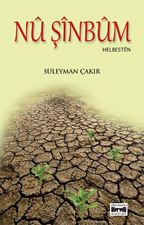 Nu Şinbum