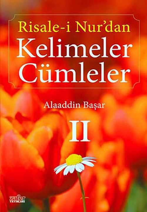 Risale-i Nur'dan Kelimeler Cümleler 2