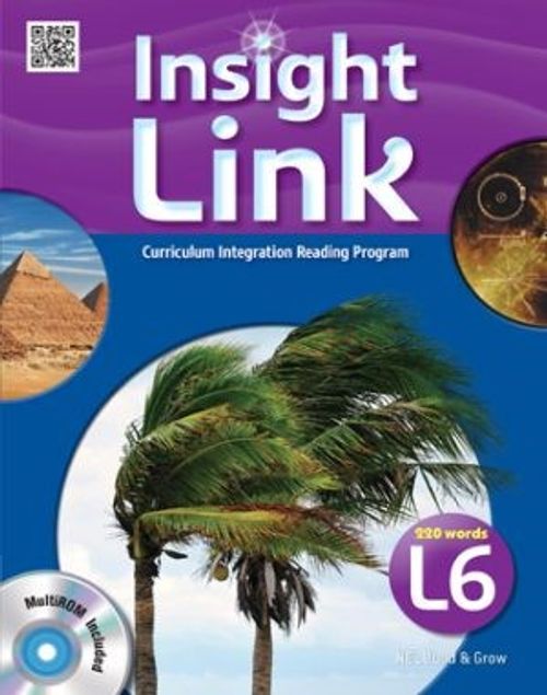 Insight Link 6 with Workbook +MultiROM CD