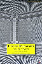 Uykusu Bölünenler & Çağdaş Türk Edebiyatı: Söyleşiler, Çeviriler, Okumalar