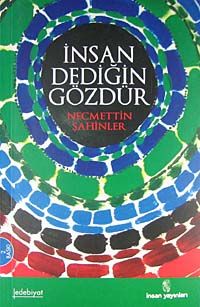 İnsan Dediğin Gözdür