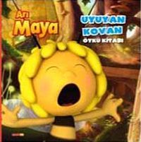 Arı Maya / Uyuyan Kova