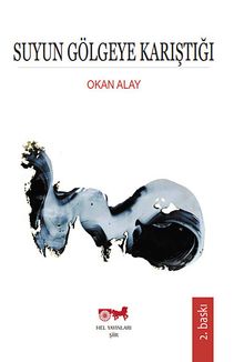 Suyun Gölgeye Karıştığı