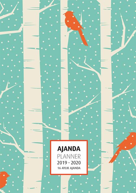 2019-20120 16 Aylık Ajanda (Ürün kodu:3058)
