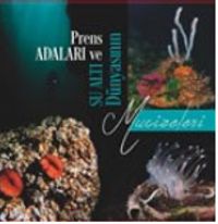 Prens Adaları ve Su Altı Dünyasının Mucizeleri