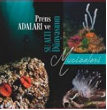 Prens Adaları ve Su Altı Dünyasının Mucizeleri