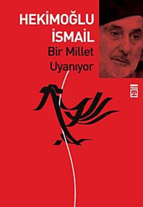 Bir Millet Uyanıyor