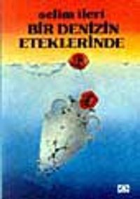 Bir Denizin Eteklerinde