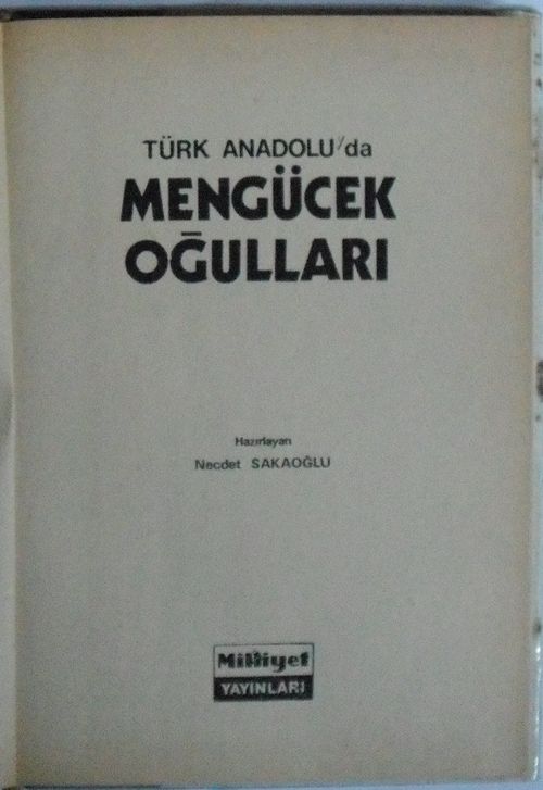 Türk Anadoluda Mengücekoğulları (Kod:8-E-9)