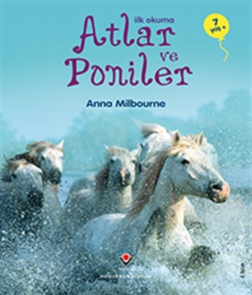 Atlar ve Poniler / İlk Okuma
