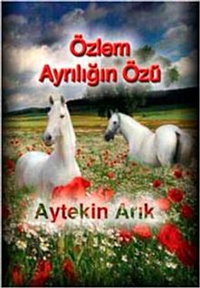 Özlem Ayrılığın Özü