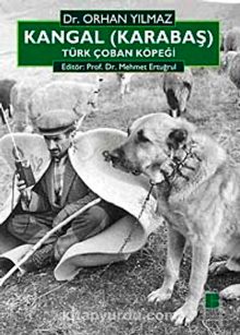Kangal (Karabaş) Türk Çoban Köpeği - Orhan Yılmaz