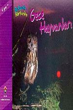Gece Hayvanları / Bir Zamanlar Korkardım