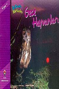 Gece Hayvanları / Bir Zamanlar Korkardım