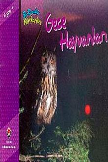 Gece Hayvanları / Bir Zamanlar Korkardım