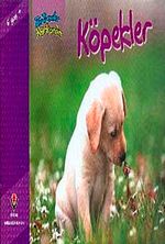 Köpekler / Bir Zamanlar Korkardım