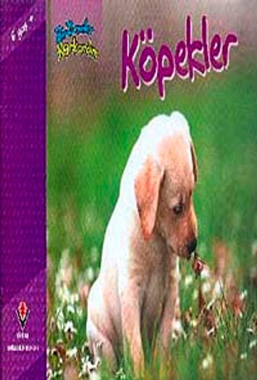 Köpekler / Bir Zamanlar Korkardım