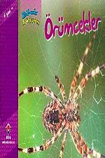 Örümcekler / Bir Zamanlar Korkardım