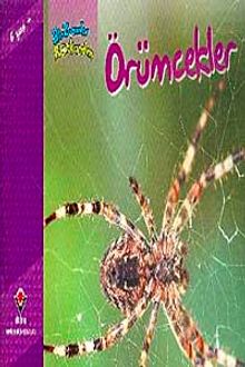 Örümcekler / Bir Zamanlar Korkardım