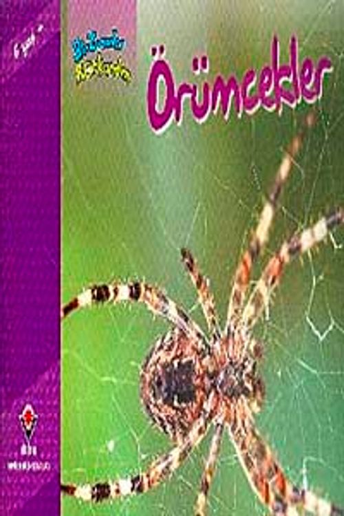 Örümcekler / Bir Zamanlar Korkardım