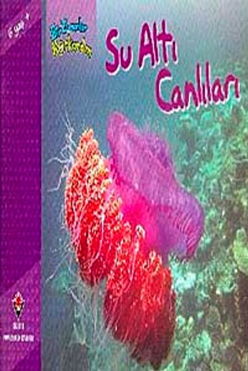 Su Altı Canlıları / Bir Zamanlar Korkardım
