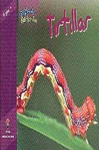 Tırtıllar / Bir Zamanlar Korkardım