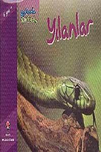 Yılanlar / Bir Zamanlar Korkardım