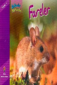 Fareler / Bir Zamanlar Korkardım