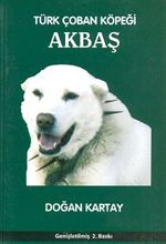 Türk Çoban Köpeği Akbaş