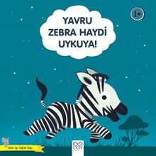 Yavru Zebra Haydi Uykuya!