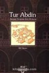Tur Abdin